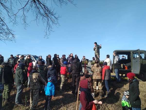 Посадка деревьев