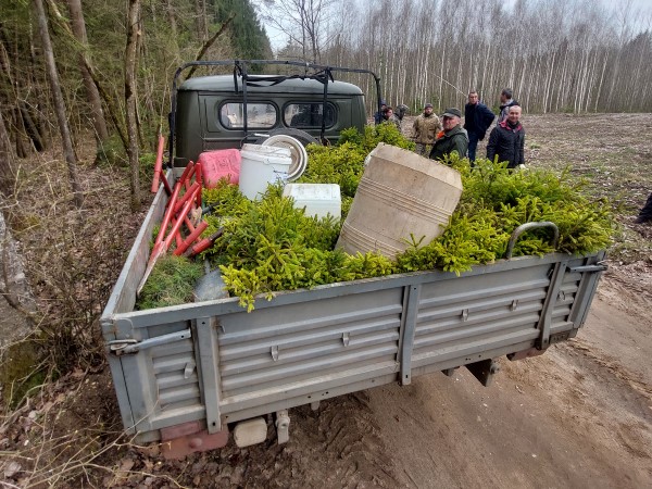 Сохраним Лес