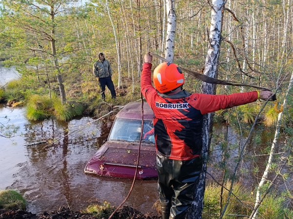 Бобёр  трофи